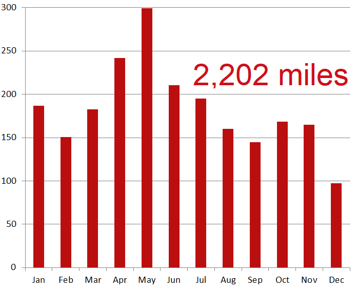 Distance travelled in 2021 graph